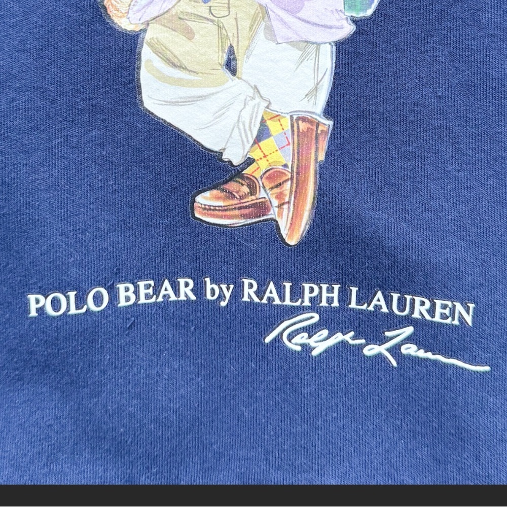 Polo Ralph Lauren Kids Preppy Book Bear Hoodie Scholar Academic Blue Size 6 - Picture 8 of 11